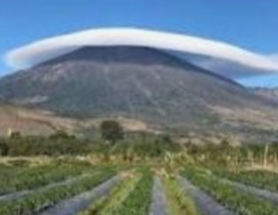 Bupati Lotim dan Wagub NTB Sepakat Jalur Tikus Menuju Gunung Rinjani Ditutup