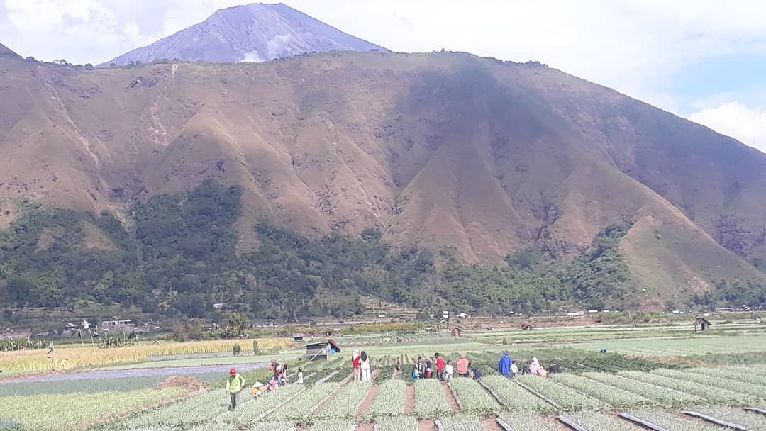 Tokoh Pemuda Sembalun Minta Masyarakat Dilibatkan Pemerintah  Soal Pungutan PAD