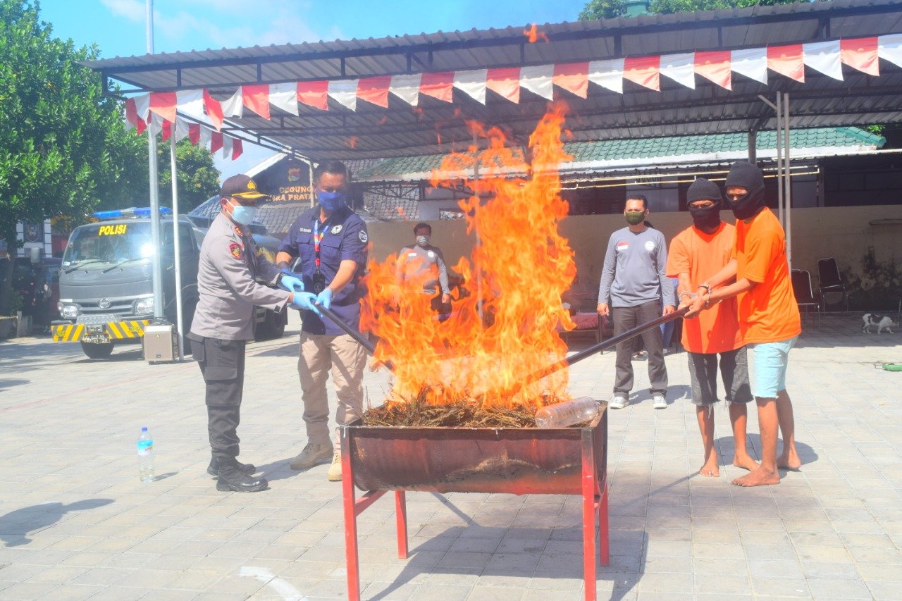 Polres Mataram Blender Barang Bukti 3 Kilogram Sabu dan Bakar 6 Kilogram Ganja