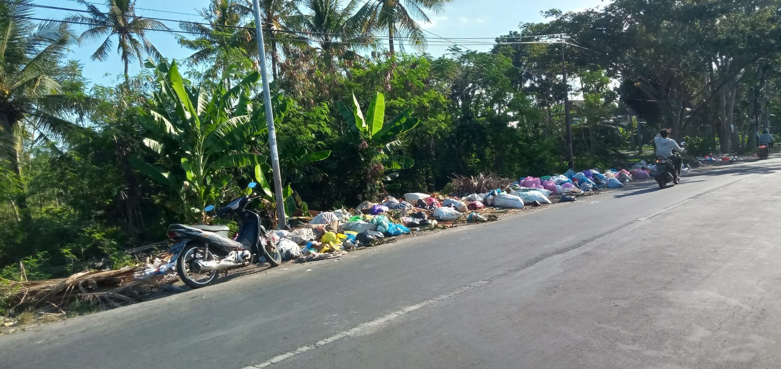 Sampah di Kota Praya Lombok Tengah Menyengat Hidung