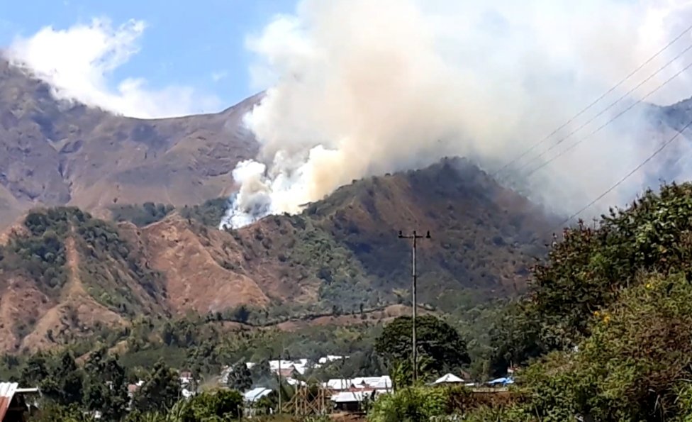 Kawasan Bukit Adas Sembalun Terbakar, Pelaku Diamankan ke Mapolres Lombok Timur