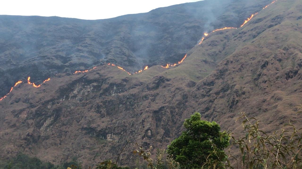 Kawasan Bukit Anak Dara Sembalun Lawang Terbakar