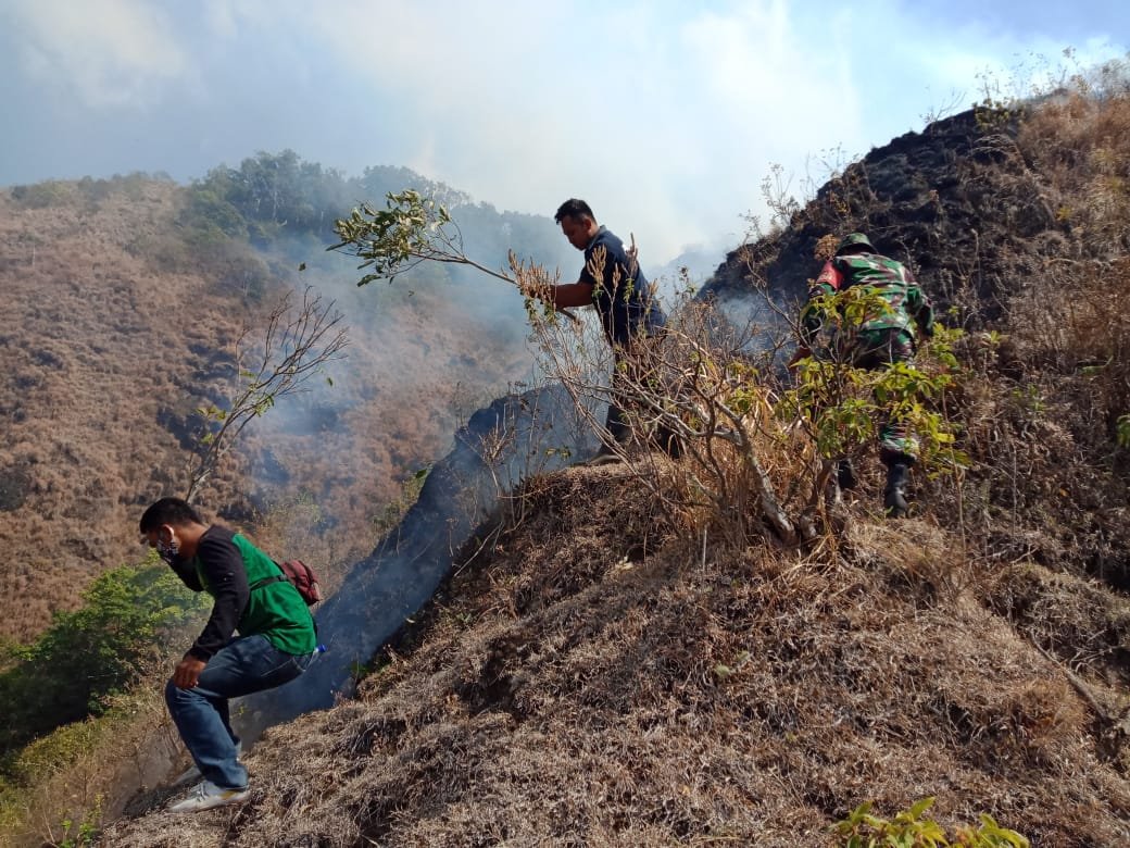 Api Terus Berkobar dan Sulit Dipadamkan, Lebih 30 Hektar Bukit Anak Dara Sembalun Terbakar