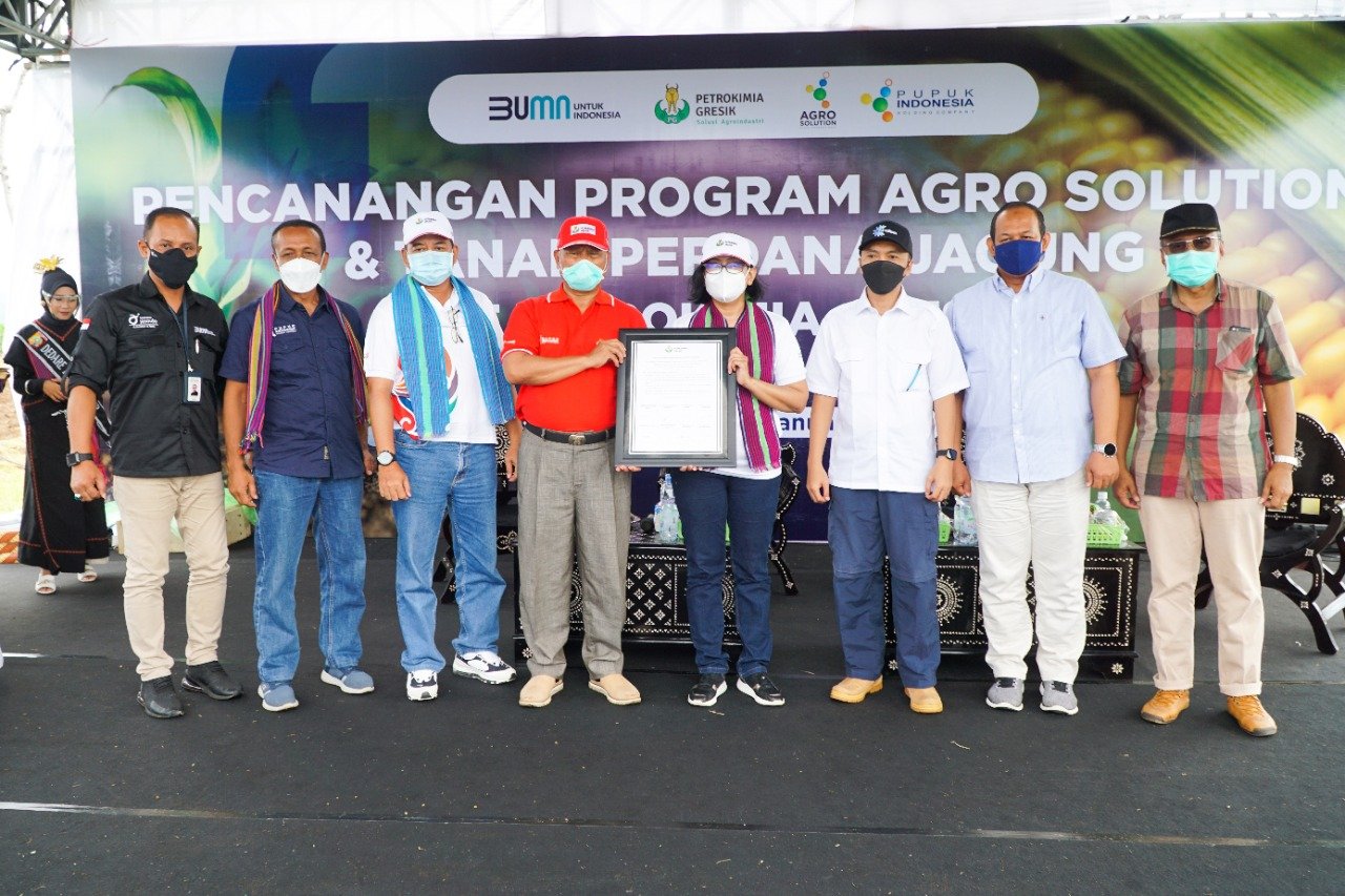 Sentra Jagung Lombok Timur Dilirik PT Petrokimia Gresik