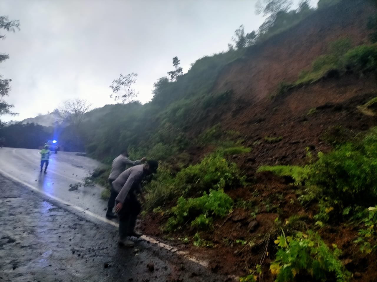Hujan Deras Selama Tiga Hari Terakhir Mengakibatkan Tanah Longsor dan Pohon Tumbang  di Kawasan Pusuk Sembalun
