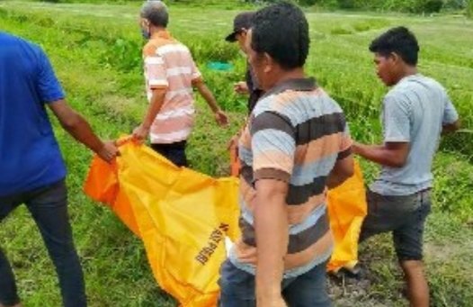 Mayat Nenek Berusia 78 Tahun Warga Kampung jero Desa Dasan Lekong Ditemukan di Semak Tanaman Padi Milik Warga Kelurahan Pancor