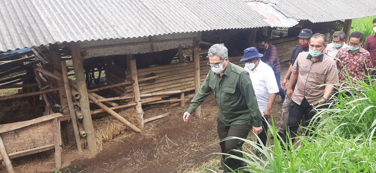 Kunjungi Lotim Wakamentan Tantang Peternak Manfatkan Program UPPO Secara Optimal