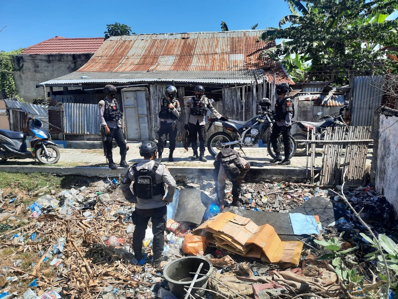 Tindak Tegas, Polisi Sembelih Ayam Aduan dan Arena Sabung Ayam Dibakar