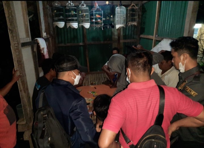 Judi Domino Tengah Malam Empat Warga Pemenang Diangkut Ke Polsek