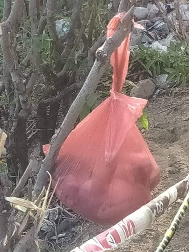 Bayi dalam Kantung Pelastik Ditemukan Warga Menggelantung di Jurang Pinggir Jalan DusunMentigi Malaka Lombok Utara