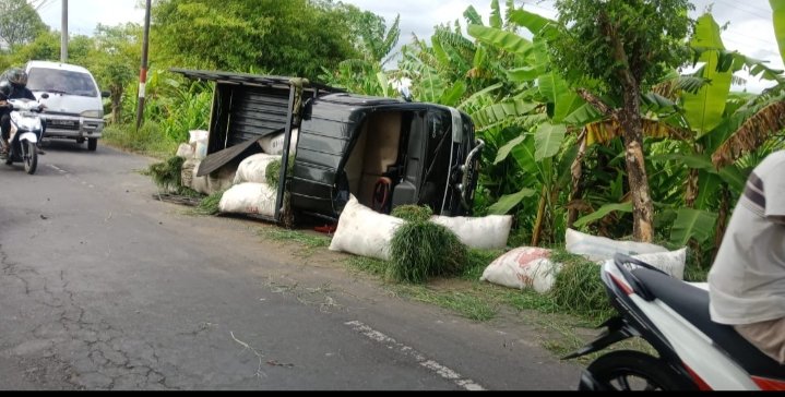 Mobil Pengangkut Rumput Terbalik, Delapan Terlempar Satu Orang Tewas
