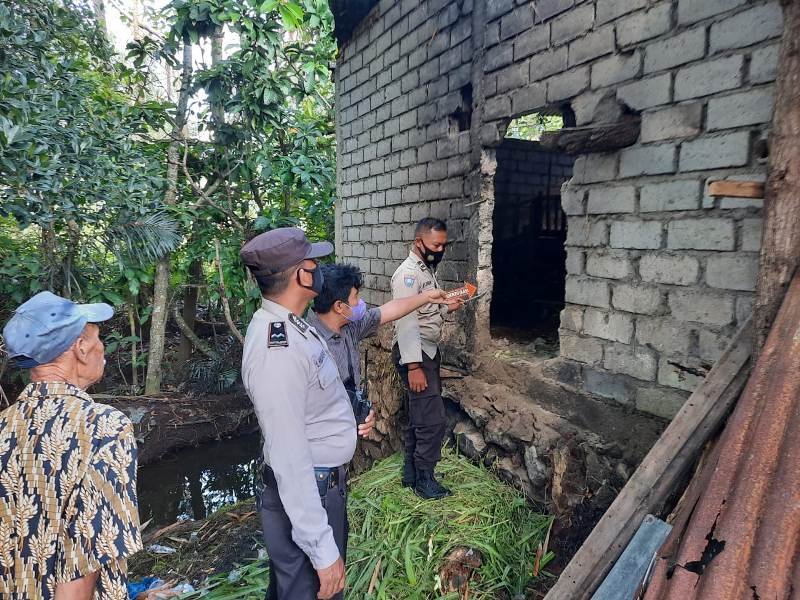 Komplotan Maling Jebol Tembok Kandang Terbuat dari Batako, Tiga Ekor Sapi Raib