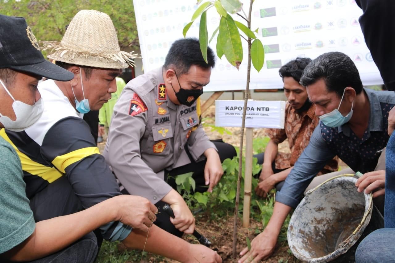 Penghijauan 1000 Pohon di Desa Tumpak, Kapolda NTB dan Kapolres Loteng Membaur dengan Masyarakat