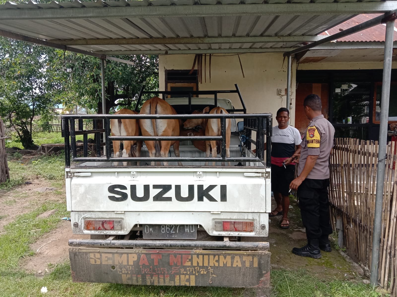 Anggota Polsek Hu’u Dompu Tangkap Dua Pelaku dan Amankan Tiga Ekor Sapi Curian