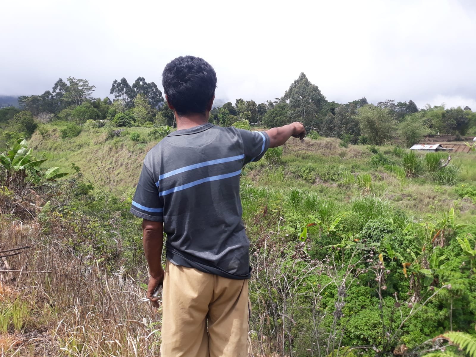 Mengurai Sengkarut Tanah PT Sembalun Kusuma Emas yang Disengketan Penggarap