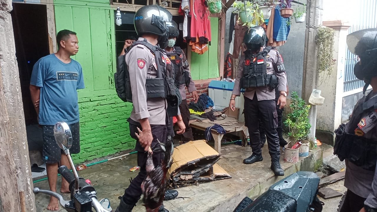 Operasi Sabung Ayam di Kelurahan Dara Bima Bocor, Polisi Hanya Mengamankan Dua Ekor Ayam Aduan