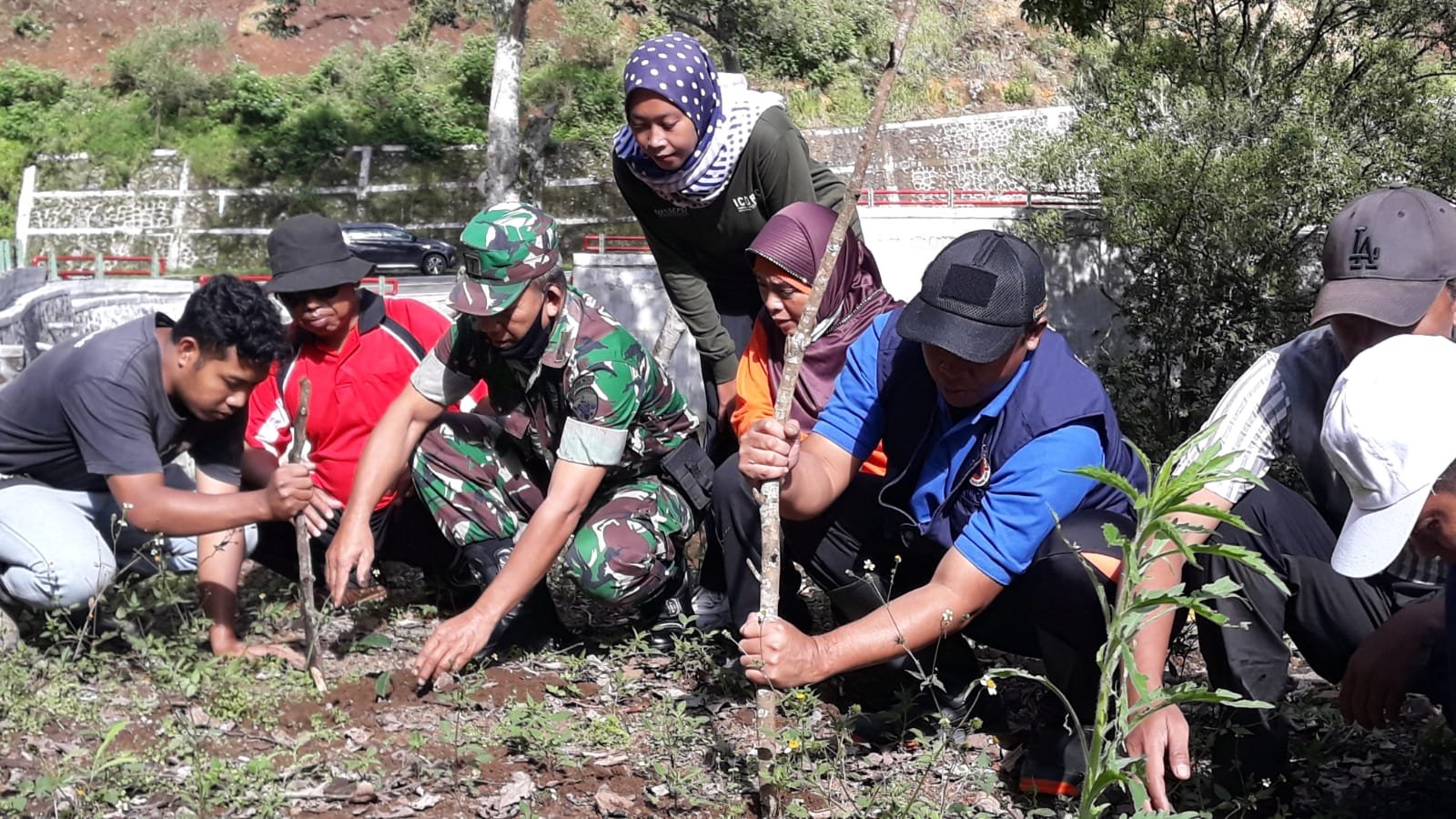 Kembalikan Fungsi Hutan, Pemerintah Desa Sembalun Bumbung Gelar Penghijauan Jilid Tiga di Jalur Pusuk