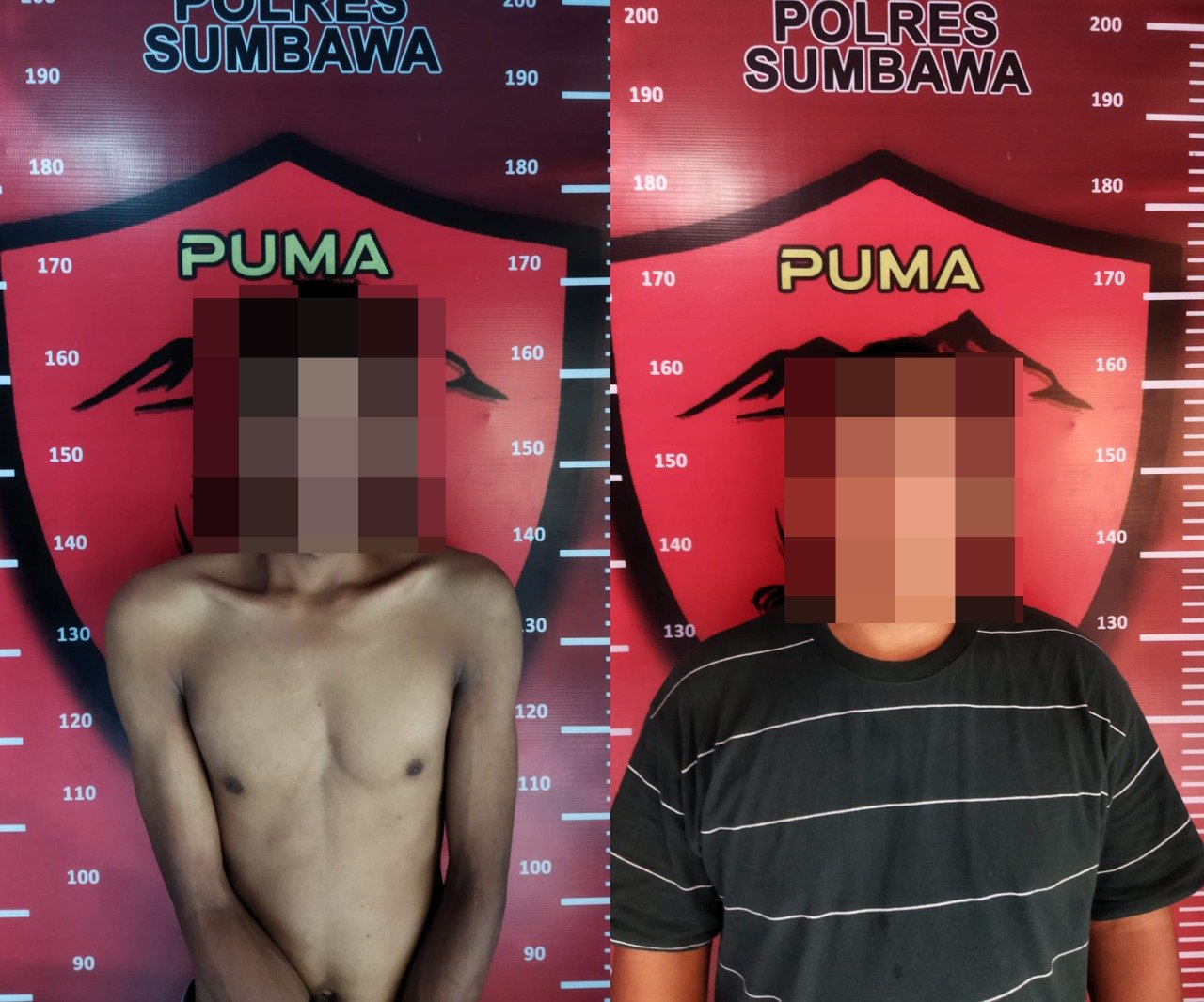 Komplotan Maling yang Gasak Rumah Dinas Puskesmas Buer Sumbawa Barat Ditangkap, Satu dari Dua Pelaku Seorang Residivis