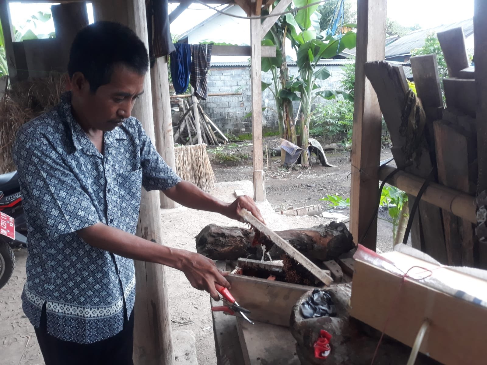 Buka Peluang Usaha Saat Pandemi Omicron, Kepala Dusun Di Sembalun Budidaya Madu Trigona