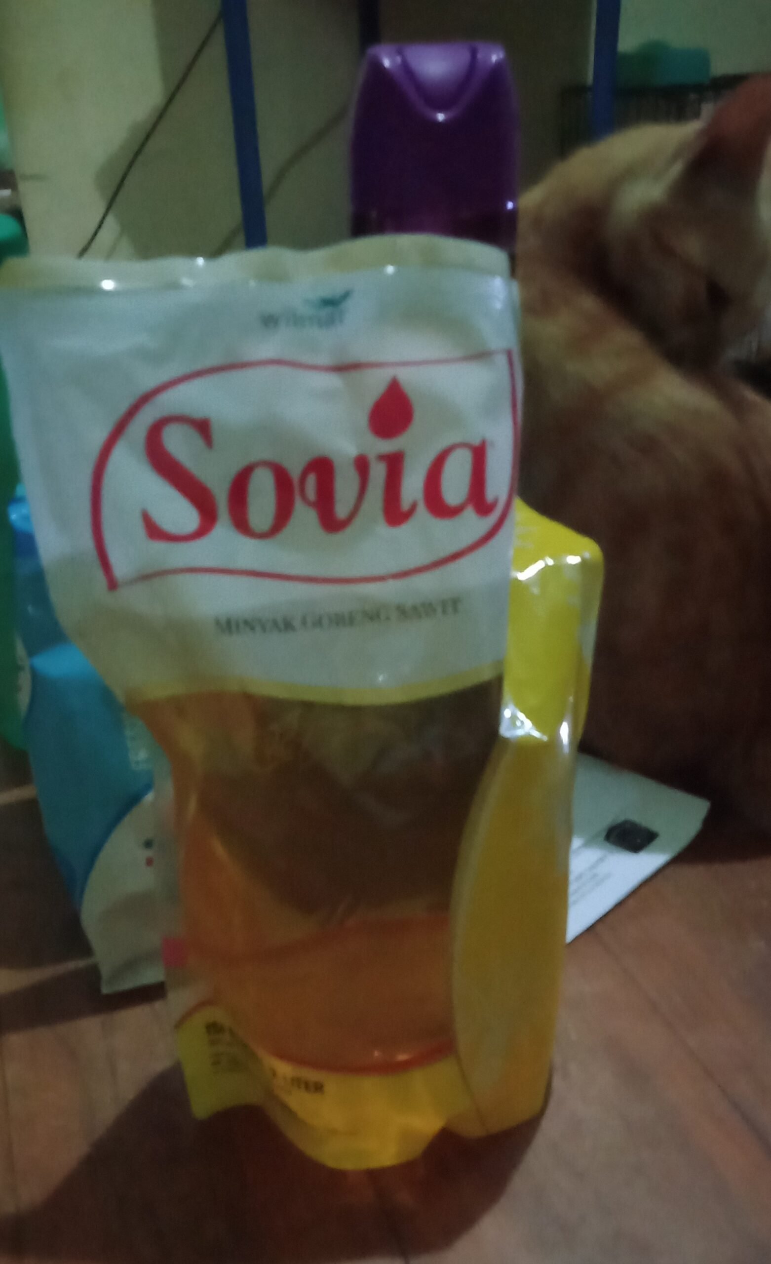 Gila!..Kelangkaan Minyak Goreng di Pulau Lombok Makin Meresahkan Masyarakat