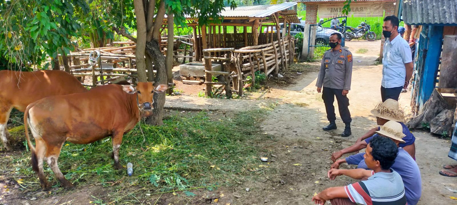 Antisipasi Meluasnya Penyakit Ternak, Pasar Hewan Lombok Tengah Ditutup