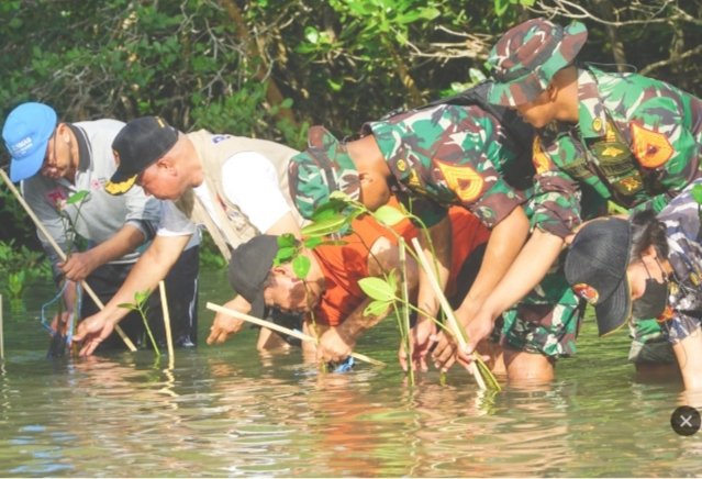 Bupati Lotim dan SATLAT II HIU LATSITARDANUS 42 Tanam Mangrove di Perairan Lombok Selatan