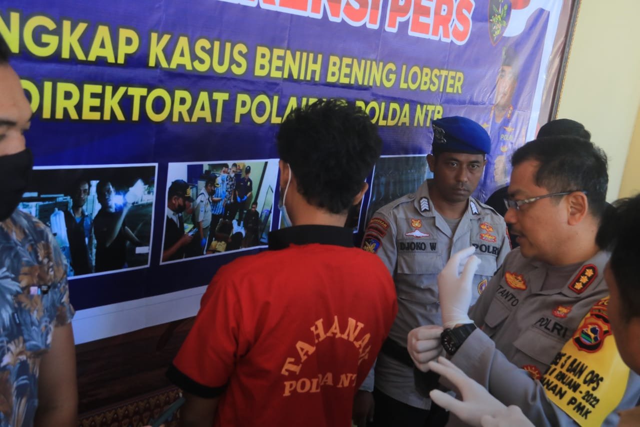 Pelaku Penyelundupan Puluhan Ribu Benih Lobster Ditangkap