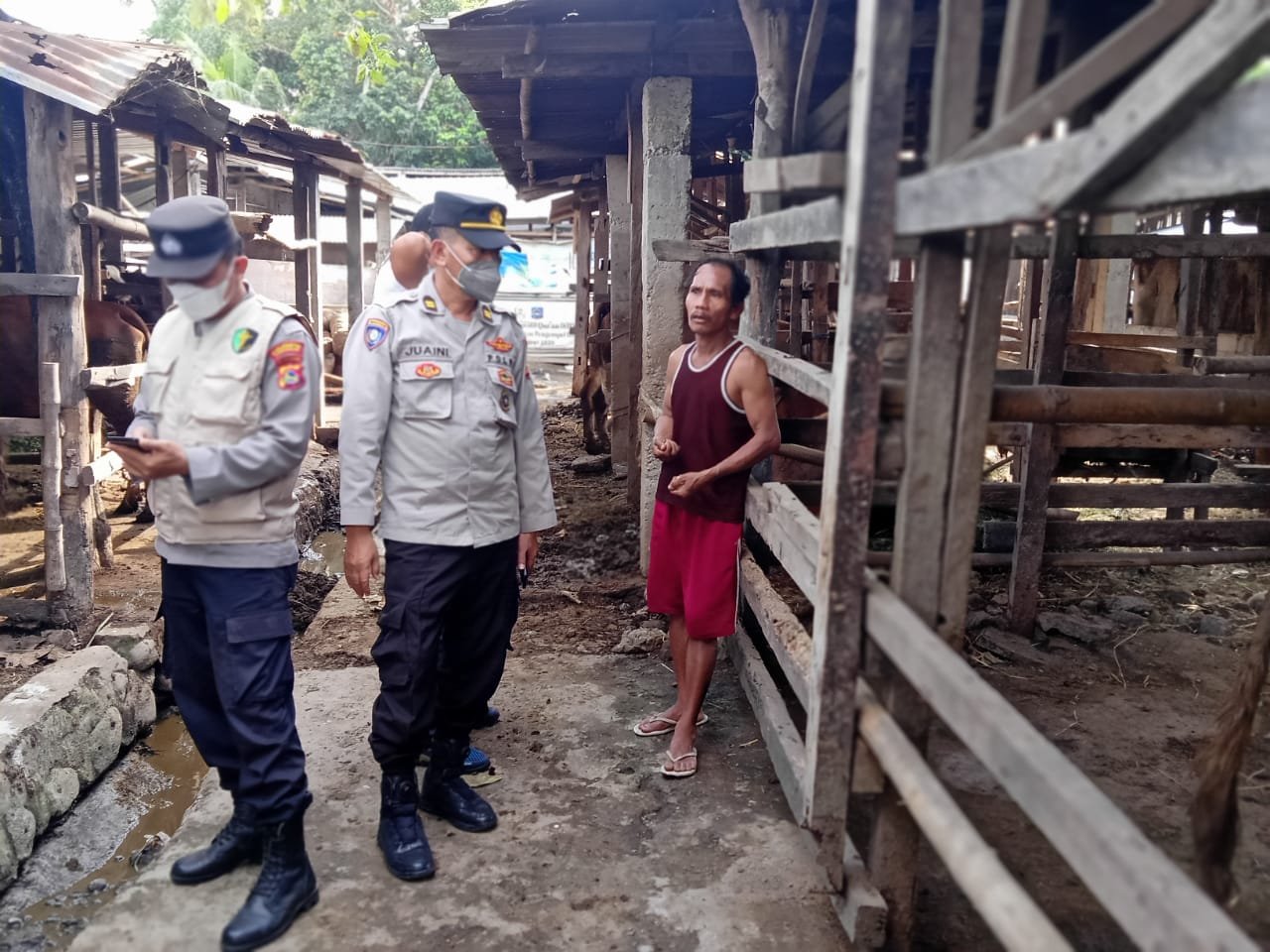 Cegah Penularan PMK, Polresta Mataram Perketat Distribusi Ternak ke Kandang Milik Warga