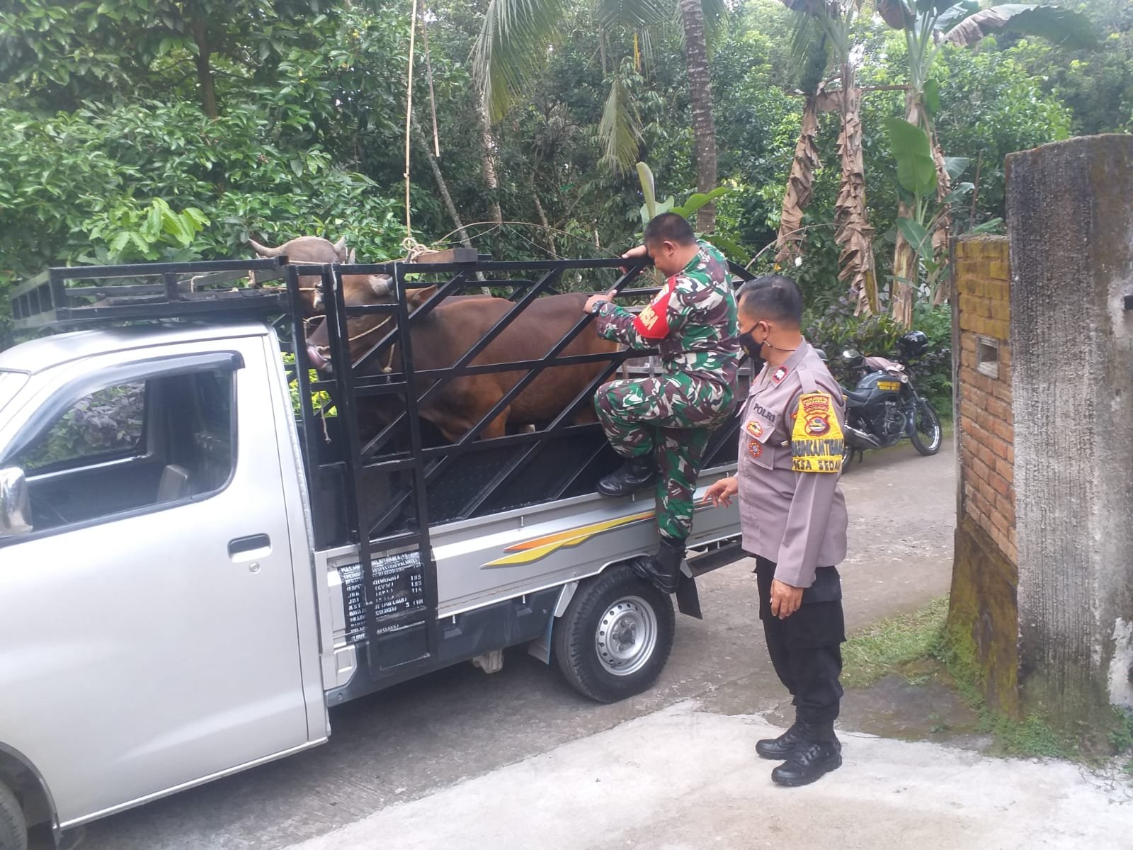 Diperketat Mobilitas Ternak Masuk Wilayah Kota Mataram, PMK Jadi Ancaman Peternak