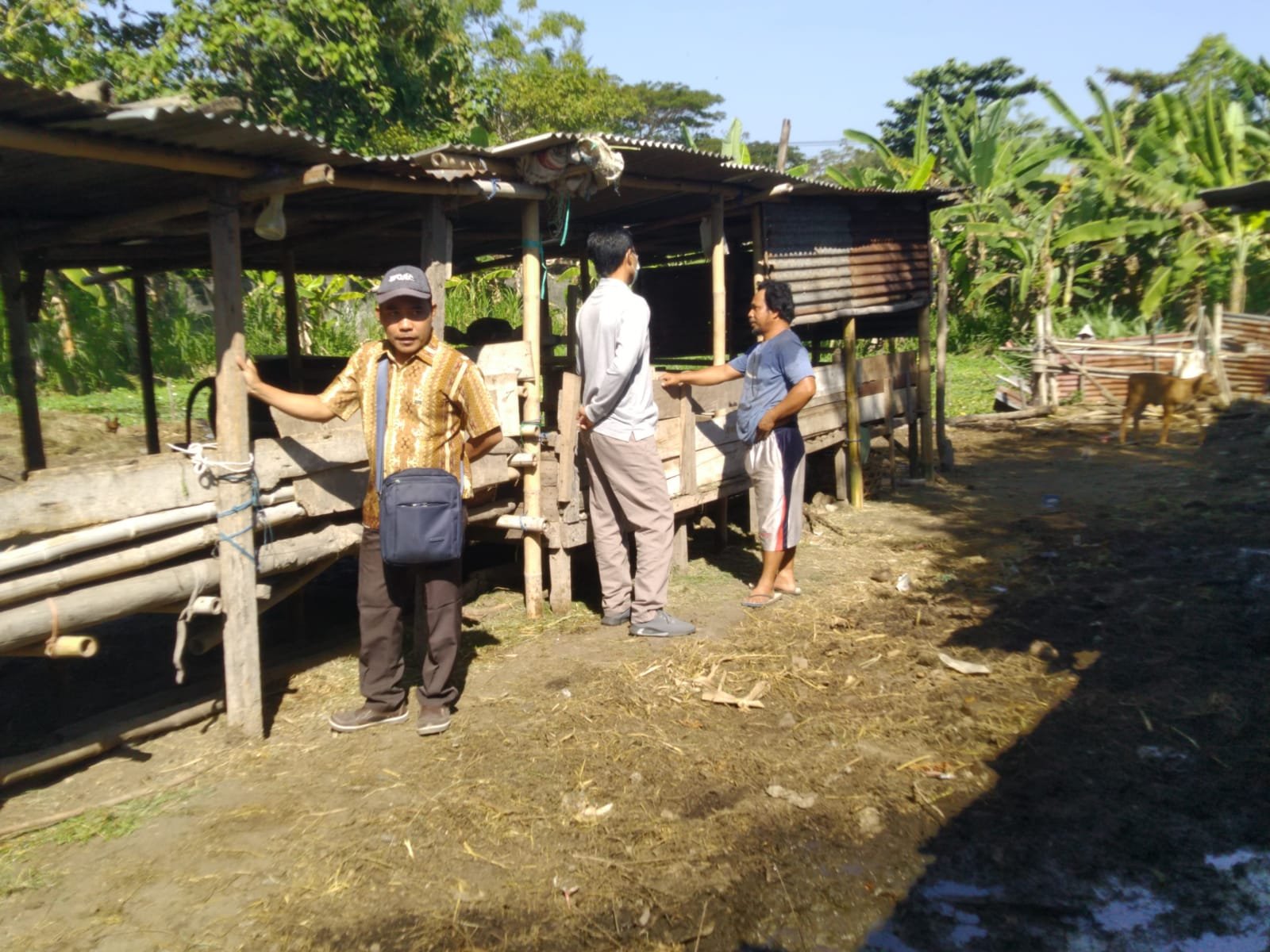 Pencegahan Penyakit Kuku dan Mulut Hewan Ternak Masih jadi Atensi Polresta Mataram