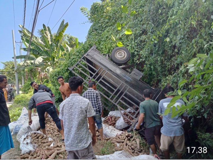 Tidak Terkendali, Mobil Pickup Bermuatan Ubi Kayu Nyungsep Ke Rawa