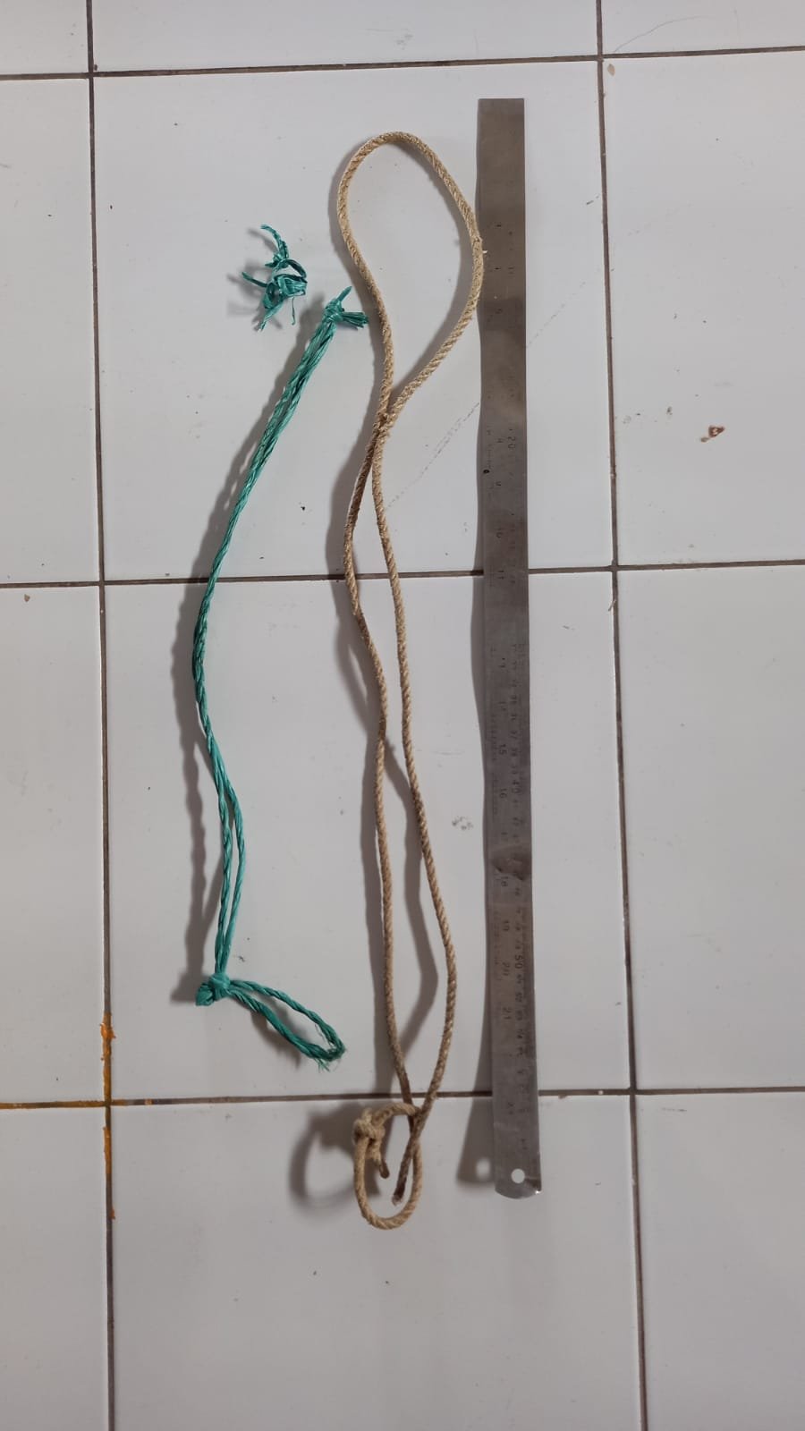 Warga Sembalun Tewas Gantung Diri, Inak Human: Suami Saya Mengidap Asam Lambung Akut