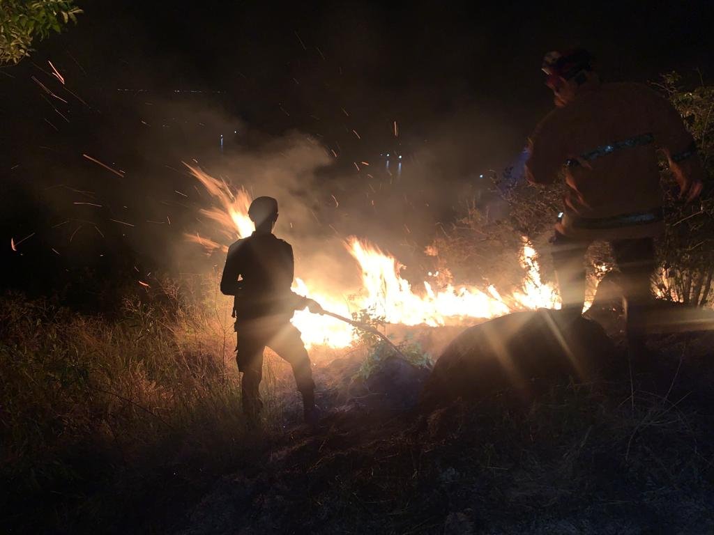 Bukit Pandanan Terbakar, Kapolres Kerahkan Tim Gabungan Padamkan Api