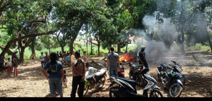 Polsek Sape Gerebek Arena Sabung Ayam