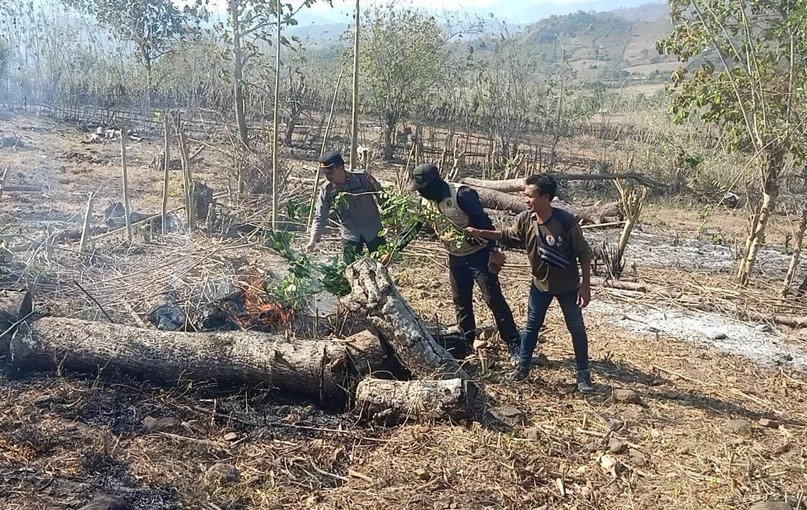 Kebakaran Hutan Polsek Lunyuk Sumbawa Turun Tangan