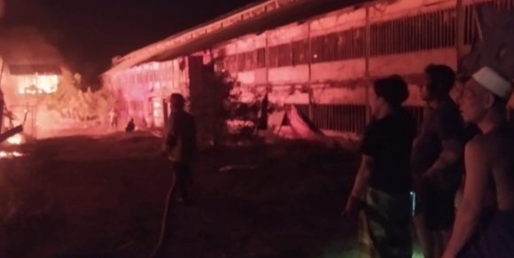 Kandang Terbakar, Puluhan Ribu Ekor Ayam Peliharaan Terpanggang Api