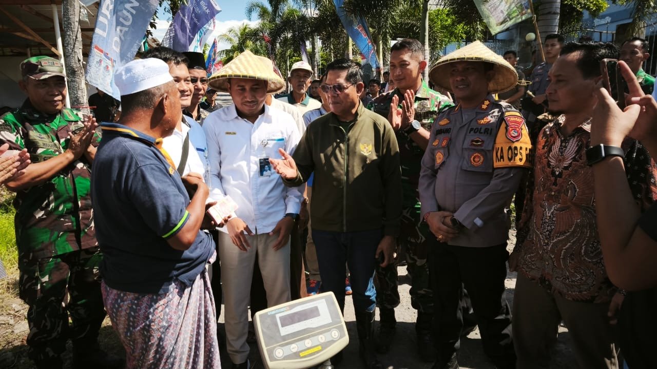 Bupati Lombok Timur Hadiri Panen Raya Padi, Pastikan Harga Gabah Stabil