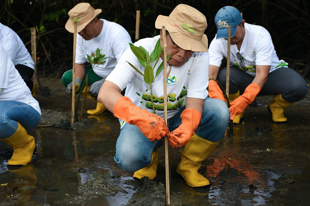 Sinergi Pemkab Lotim dan PLN Tanam 5000 Pohon Mangrove