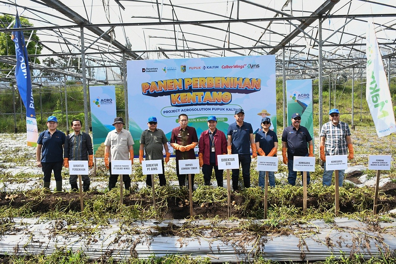 Sembalun Siap Jadi Sentra Benih Kentang Nasional